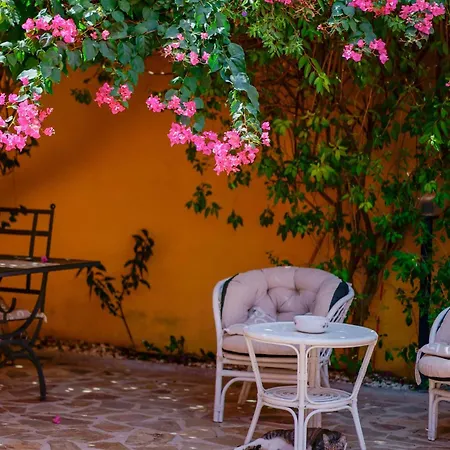 Il Piccolo Giardino & Breakfast