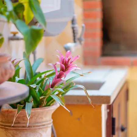 Bed & Breakfast Il Piccolo Giardino & Breakfast Villasimius