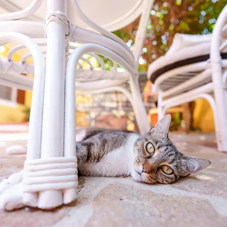 ベッド・アンド・ブレックファスト Il Piccolo Giardino & Breakfast