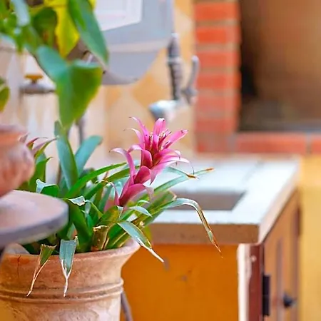 Il Piccolo Giardino & Breakfast Bed and Breakfast 4*
